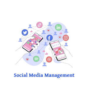 Errores Evite los esfuerzos de marketing en redes sociales Retener a los clientes Midiendo el ROI Modelo minorista Correo electrónico Envío en línea Digital - Product Image 6