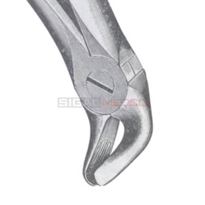 Figura. 11 Pinzas de Extracción Dental Manuales de Acero Inoxidable de Alemania, Instrumentos Dentales de Diferentes Tamaños, Precio al por Mayor, Proveedor a Granel - Product Image 3