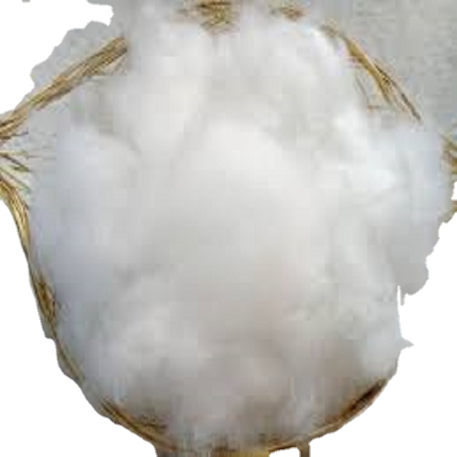 Hot Selling Cotton Bales Best Quality for Textile Spinning Factory Price Bulk Wholesale Supply Available Raw Pattern - Florence