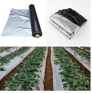 Film de paillage agricole de grande taille LLDPE, marque CRADLE of LIFE, de OJISHTHA INDUSTRIES - Product Image 2