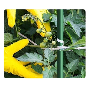 2mm 3mm 4mm <b>Plastic</b> Stakes Plant Climb Support Fiberglass <b>Rods</b> for Tree Tomato Grape - Product Image 6