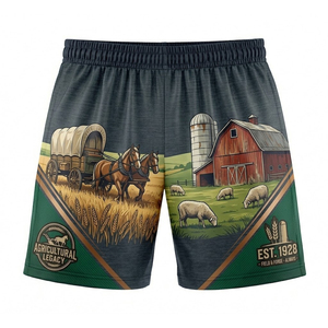 Pantalones Cortos Deportivos Sublimados para Fútbol Americano, Servicio de Impresión Personalizada, Transpirables, de Secado Rápido y Cómodos para Entrenamiento - Product Image 1