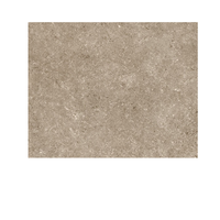 Carreaux de sol en pierre naturelle aspect gris biscuit pour extérieur/intérieur 600x600mm pour applications en cuisine, villa, centre commercial et jardin