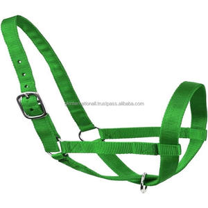 Qualité supérieure Personnaliser Perroquet Vert Nylon Cheval licou en plusieurs tailles et couleurs personnalisées avec quincaillerie en acier inoxydable - Product Image 4