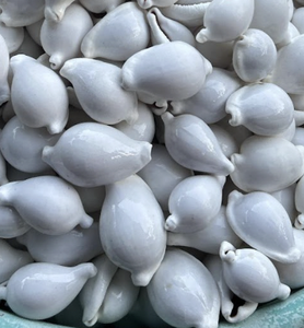 เปลือกหอยขาวขัดเงาคุณภาพดี ขายส่งเปลือกหอยธรรมชาติจำนวนมาก สำหรับงานฝีมือ ทำเครื่องประดับ DIY - Product Image 4