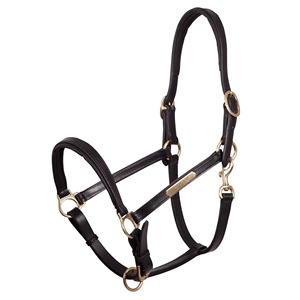 Top Quality Equestrian Premium English Leather Adjustable Horse <b>Halter</b> with Brass Hardware for Horse Riding Equipment - Product Image 1