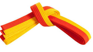 Cinturones de Jiu Jitsu Brasileño de la Mejor Calidad y Durabilidad en Diferentes Colores para Karate y Judo Artes Marciales - Product Image 4