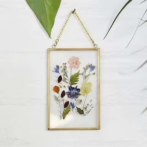 Elegant Metal Glass Hanging Photo <b>Frame</b> Wall Mounted <b>Picture</b> Display Modern Home Interior Decoration - Product Image 1