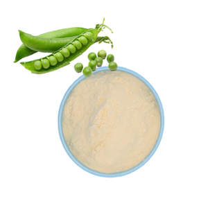 Péptidos de proteína de guisante de producción fresca, suministro a granel, precio de fábrica, venta al por mayor, entrega rápida, aditivos - Product Image 5