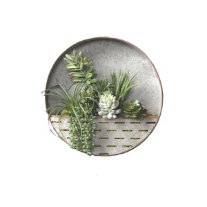 Meilleures ventes : Jardinière murale ronde en métal galvanisé style ferme pour décoration de jardin intérieur/extérieur et plantes succulentes - Product Image 5