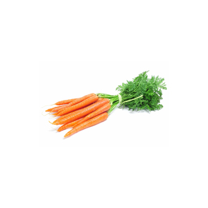 Zanahorias aptas para instalaciones de procesamiento de alimentos y negocios culinarios - Product Image 1