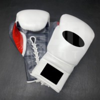 Guantes de Boxeo Profesionales Personalizables de Primera Calidad, Transpirables, que Absorben la Humedad, con Acolchado Grueso de 4 Capas