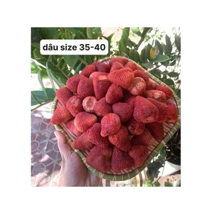 สตรอว์เบอร์รีอบแห้ง ขนาดใหญ่ 35-40 ลูก สีแดงธรรมชาติ รสหวาน จัดจำหน่ายจำนวนมากจากเวียดนาม - Product Image 1