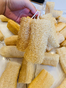 Eco Natural Luffa Sponge Pad Multi-use Body Scrubber for Shower Bath and Spa Wholesale - Product Image 2