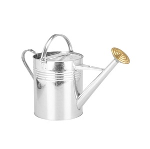 Arrosoir en zinc galvanisé avec poignée en cuivre pour jardinage, utilisation intérieure et extérieure, durable, arrosoir pour plantes d'intérieur - Product Image 4