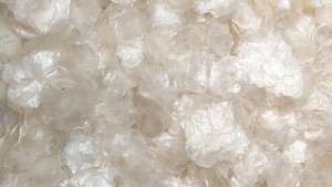 เกล็ดปลาแห้งแบบขายส่ง ทำความสะอาดแล้ว ตากแดดแห้ง จากเวียดนาม - Product Image 2