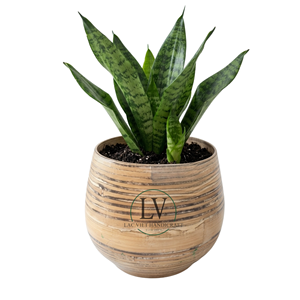 Scandinavian Style Spun <b>Bamboo</b> <b>Planter</b> Natural Small Indoor Flower <b>Pot</b> Decorative Plant <b>Pot</b> For Table Top Decor Made in Vietnam - Product Image 2