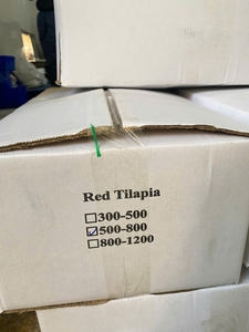 Tilapia entière pour la restauration commerciale 300-500g/500-800g Vietnam Congelée en vrac IQF/en blocs sous vide Faible teneur en matières grasses Morceau VH - Product Image 4