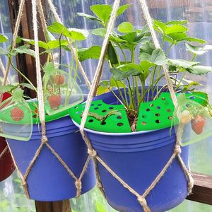 Kit de Cultivo de Fresas con 16 Soportes para Plantas, 40 Bolsas de Malla Reutilizables a Prueba de Insectos y 2 Patas Resistentes - Product Image 5