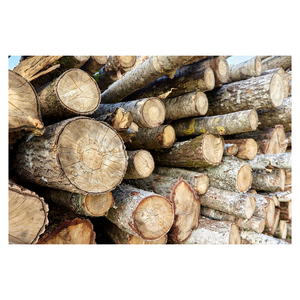 25cm and 33cm Kiln dried firewood / Beech oak ash birch firewood - Product Image 6
