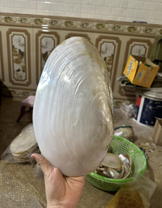 Modern Luxury Mother of Pearl Plate Vietnam Natural Shell Material for Vanity Tray Dressing Table Decor Gift Use - Product Image 3