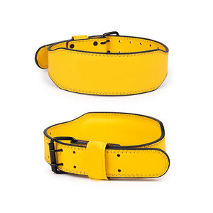 Cinturón de Levantamiento de Pesas de Doble Capa de Alta Resistencia para Gimnasio y Fitness, Precio de Fábrica - Product Image 3