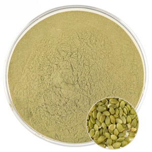 Polvo de Semillas de Calabaza Premium, Superalimento Natural Puro de Semillas de Calabaza, Rico en Proteínas, Fibra y Nutrientes para el Apoyo Diario del Bienestar - Product Image 2
