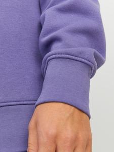 Sweat-shirt à col rond en molleton d'hiver, vente en gros, coupe oversize, personnalisable avec logo, manches longues, en coton - Product Image 5