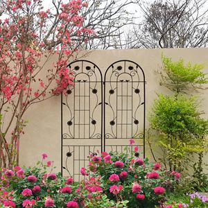 Set di 2 tralicci da giardino in metallo 220x50 cm, antiruggine, per piante rampicanti, recinzioni e cancelli - Product Image 2