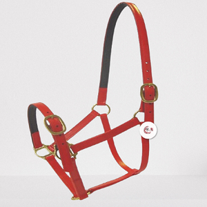 Highest Quality PVC <b>Halter</b> for Horses - Product Image 4