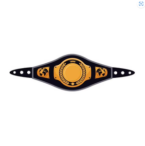 Professional Custom MMA Wrestling Boxing Martial Arts Championship <b>Belts</b> Heavy Duty Durable Breathable Leather - Product Image 5