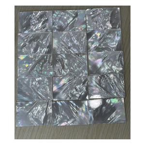 Shell <b>Flower</b> <b>Wall</b> Decoration Natural Pearl Inlay <b>Panels</b> for Home Decor - Product Image 4