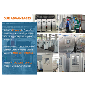 Goede Kwaliteit Elektrische Paneel Bord Algemene Elektrische Meter Panelen Explosieveilige Box Control Box Bxk403020 - Product Image 5