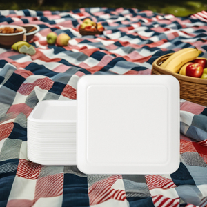 Assiette jetable carrée biodégradable de bagasse de 7 pouces assiette de pulpe de canne à sucre sans produit chimique - Product Image 5