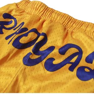 Pantalones Cortos de Baloncesto de Malla de Algodón Dorado Sigma Gamma Rho, Pantalones Cortos Deportivos Personalizados de la Hermandad Griega, Ropa Deportiva Transpirable para Equipos - Product Image 6