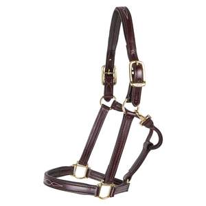 DIRECT FACTORY HORSE HALTER LEATHER SOFT ADJUSTABLE GENUINE LEATHER HORSE HALTER STAINLESS STEEL <b>HARDWARE</b> Stainless - Product Image 2
