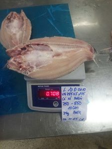 Pangasius Butterfly Congelado IQF de Vietnam, 10 kg, en Caja, con 0-20% de Glaseado de Hielo, 20-35 cm, Filete de Pescado VH con Piel/Sin Piel - Product Image 2