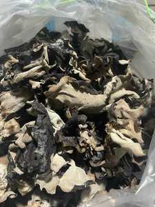 Tiras de Hongo Negro Seco al por Mayor, Champiñones Desmenuzados para Suministro Industrial de Alimentos - Product Image 3
