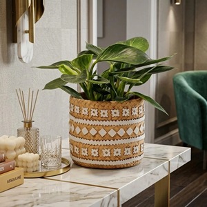 Maceta de ratán de lujo para mesa de esquina de sala de estar y decoración de plantas de oficina, para fines decorativos, venta al por mayor desde India. - Product Image 3