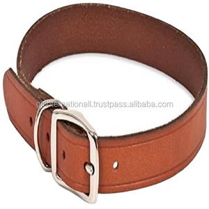 Collier en cuir pour chien, accessoire professionnel, de styliste, pour formation de chiots et de chatons, laisse - Product Image 1