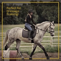 Professionnel cheval racing de protection tendon bottes