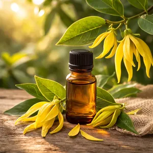 Pure Natural Ylang Ylang Essential <b>Oil</b> Steam Distilled Aromatherapy <b>Oil</b> for Skin Care Hair Growth <b>Diffuser</b> Bulk Wholesale Supply - Product Image 1