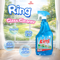 Nettoyant pour vitres écologique Ring, finition cristalline, formule à séchage rapide pour fenêtres, miroirs, portes et surfaces en verre