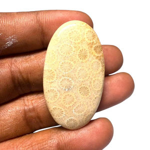 Cabochons de corail fossile naturel, cristaux minéraux polis, pierres précieuses de haute qualité, formes variées, matériaux en vrac pour la fabrication de bijoux - Product Image 1