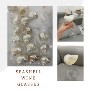 Ornements décoratifs en verre de coquille de thème nautique avec la base en laiton pour la conception côtière de café de station de vacances de boutique - Product Image 1