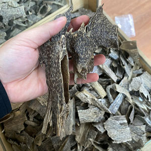 Incienso Natural de Agarwood Ahumado a Granel, Origen Vietnam, Virutas de Agarwood Oud, Material de Incienso Natural Premium - Product Image 2