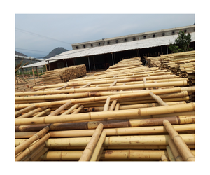 Venta al por mayor escalera de bambú pulido escalera de bambú de calidad superior para construcción ligera y decoración del hogar de precio de fábrica de Vietnam - Product Image 4