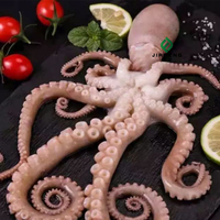 Poulpe Congelé en Boîte Prix Usine Fruits de Mer Durée de Conservation 24 Mois pour la Vente en Gros