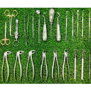 Juego de 23 Instrumentos Básicos para Cirugía Dental Oral: Elevadores y Fórceps para Extracción de Dientes - Product Image 1