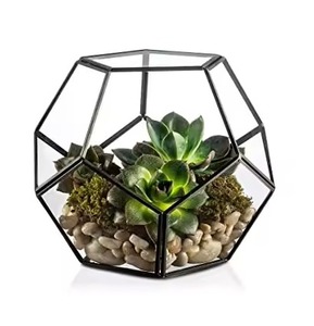 Designer Metal Terrarium Glass Plant Display Box Elegant Geometric Indoor Garden Home Decoration - Product Image 1